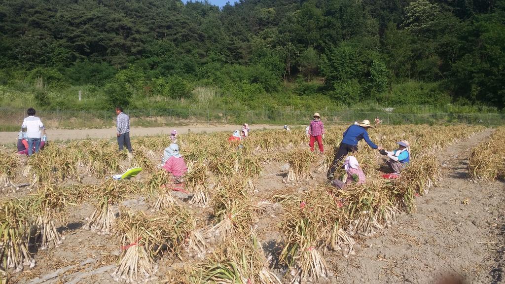 적중면, 농번기 영농현장 방문 농업인 격려 나서...