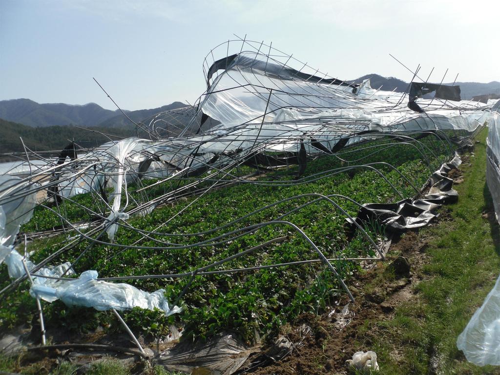 합천군, 풍수해보험으로 농가 피해 줄인다.