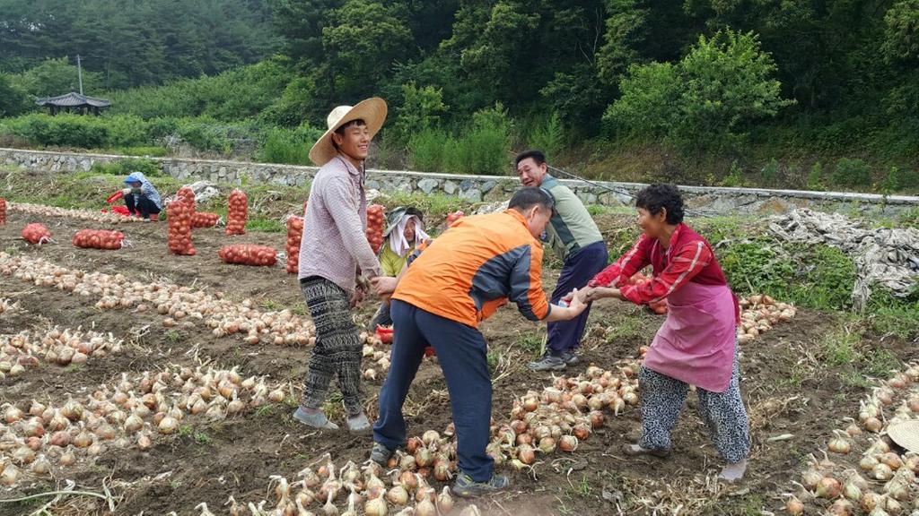 바쁜 농사철, 영농현장에서 주민과 직접소통 