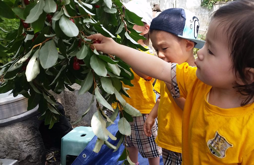 꼬마손님들의 율곡면 농촌체험