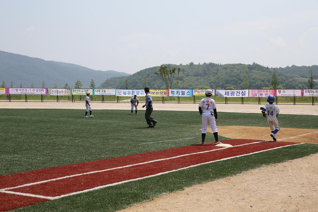 합천군, 야구협회장기 대구·경북 리틀야구대회 개막