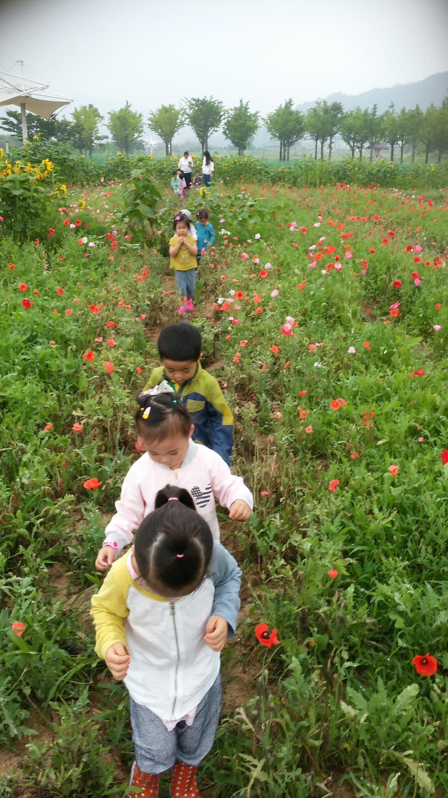 - 아이들도 예쁜 꽃을 좋아해, 율곡면 꽃동산 구경 -