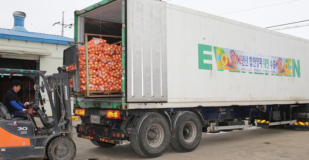 합천동부농협, 대만으로 양파수출 본격 돌입