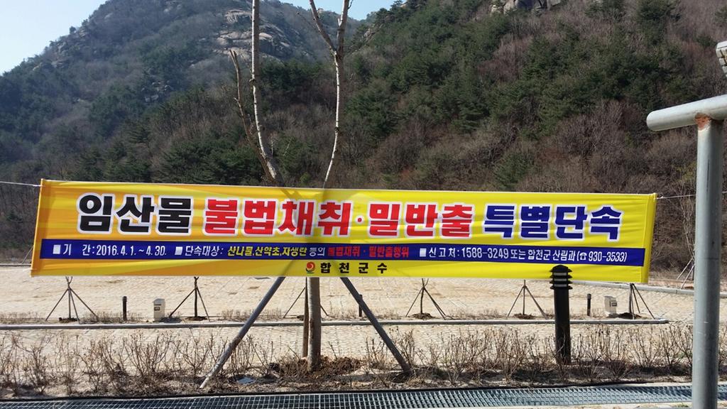 합천군 산림내 위법행위 특별단속 실시