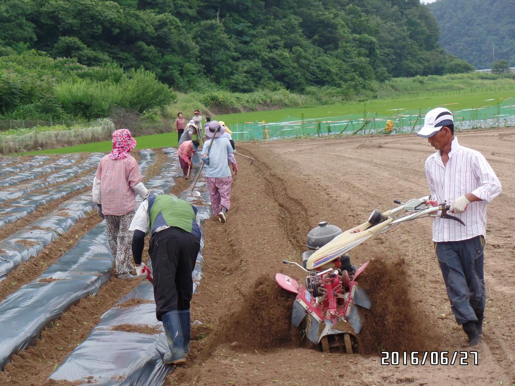 무더위에도 활력 넘치는 농촌건강 장수마을, 가회 구평 