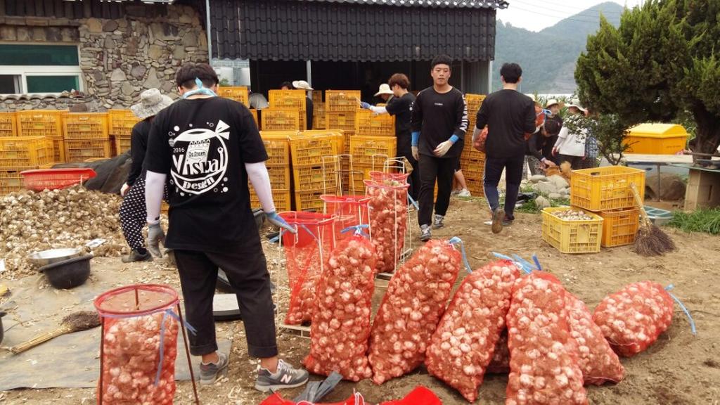 합천 적중면에서 농촌일손 돕기 펼쳐