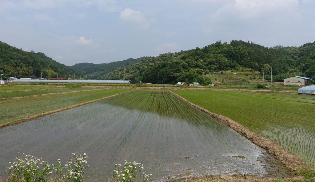 합천군 농업진흥지역 526.1㏊ 변경․해제