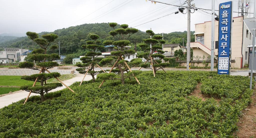 면사무소 입구 강인한 인상의 조경으로 율곡면의 상징성 드러내