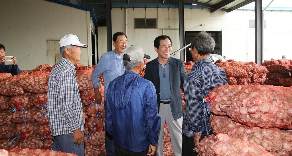 합천동부농협, 2016년 건마늘 경매 실시