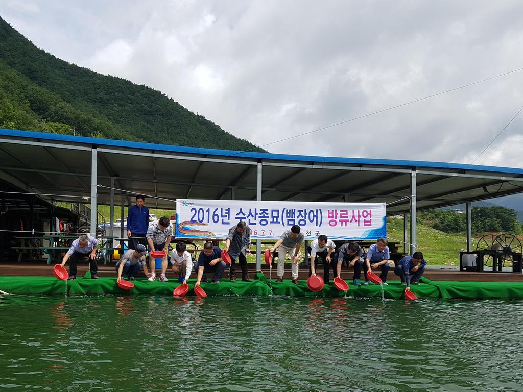 합천군, 뱀장어 치어 방류 행사 실시해