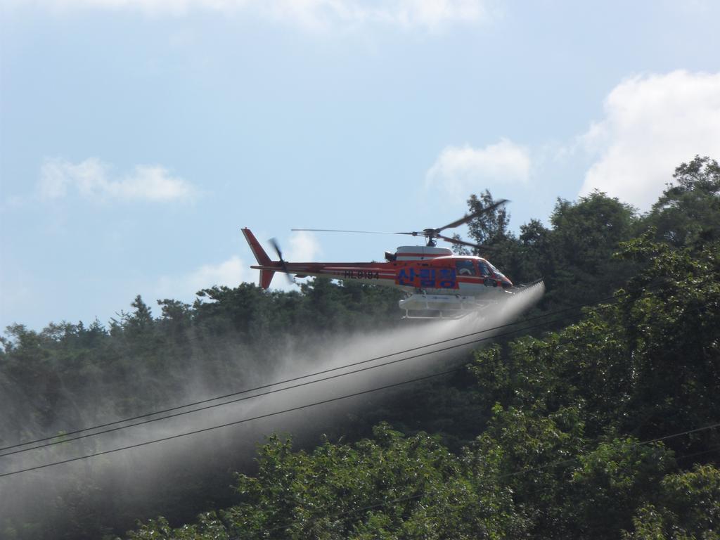 합천군“밤나무해충 항공방제”실시