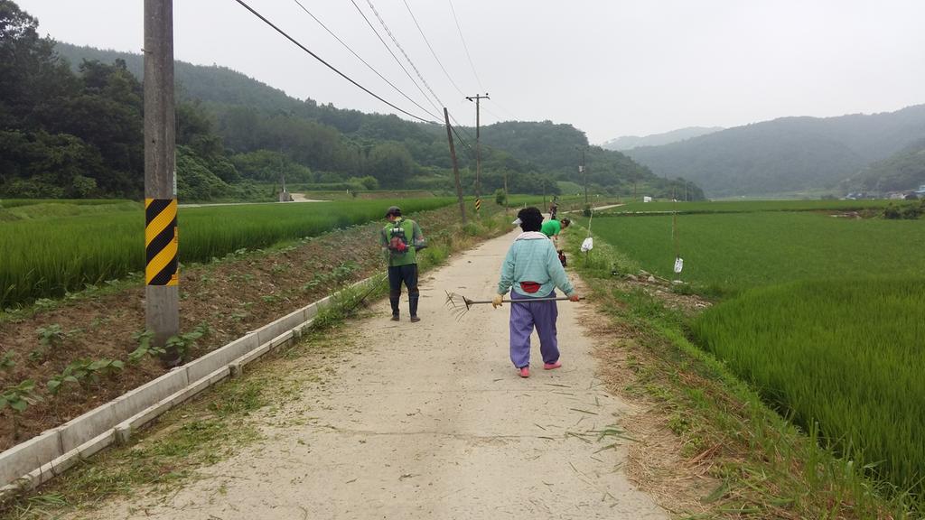  합천 쌍백면 대곡마을 도로변 환경정비 ‘구슬땀’ 