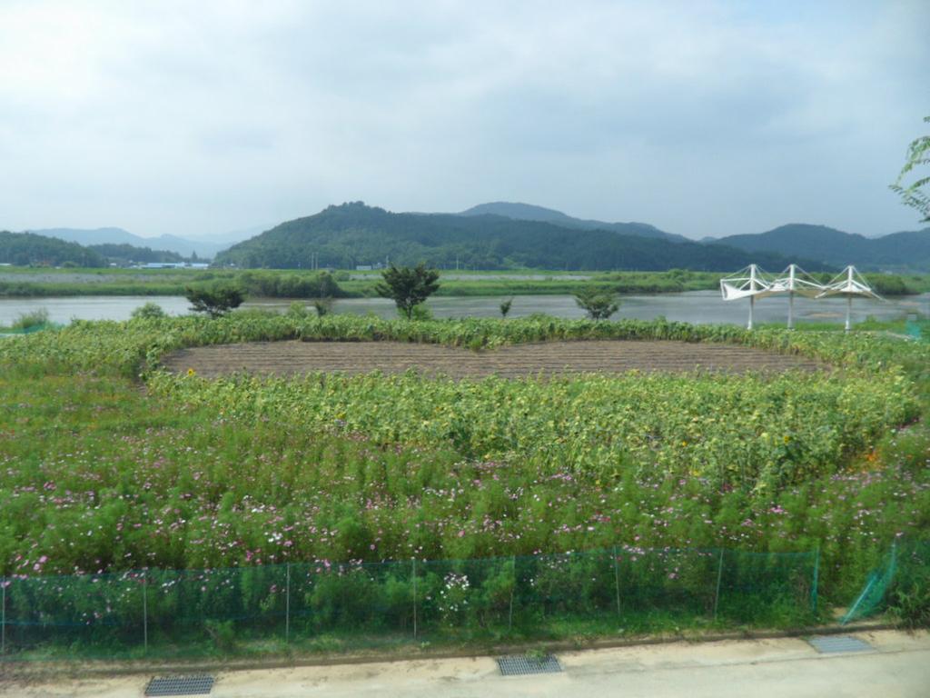 합천 율곡면 하트공원 추석맞이 가을 꽃씨 파종