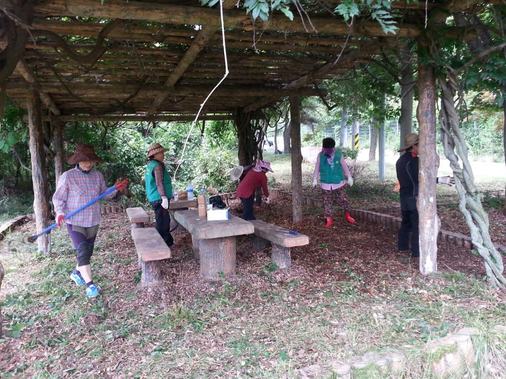 질매재 해맞이 공원 환경정화 활동 실시