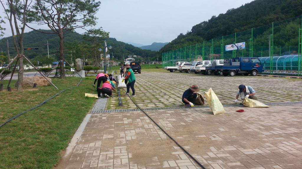 가회면 새마을협의회, 가회체육공원 입양