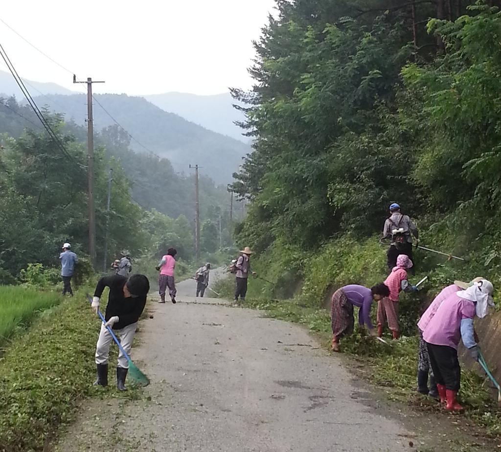 가회면 등곡마을 진입로 풀베기 실시