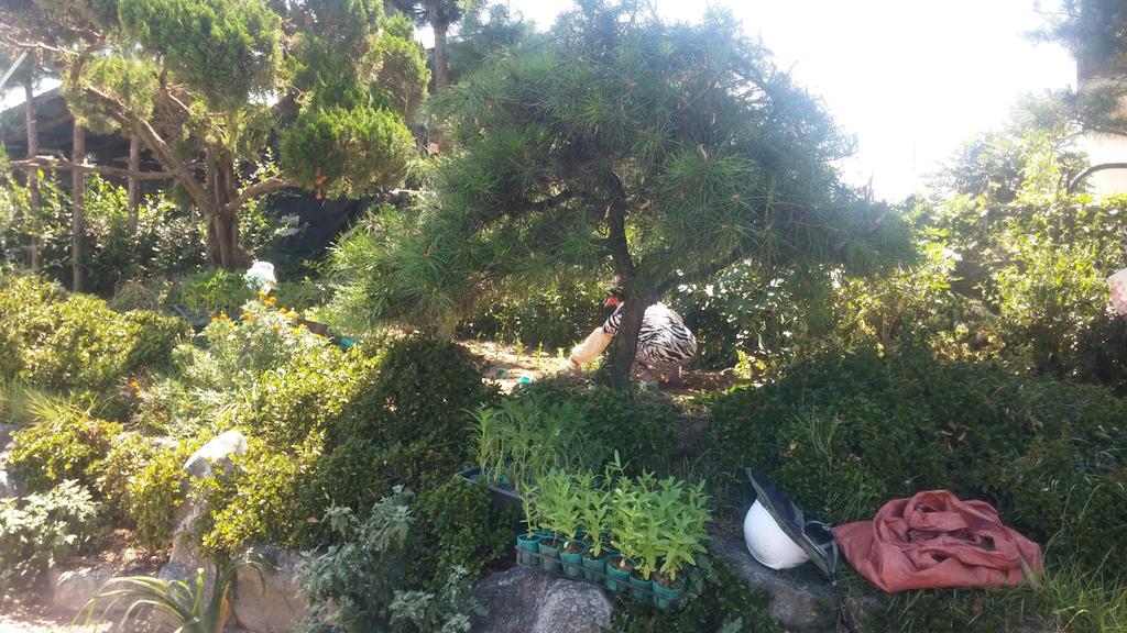 합천군 덕곡면 소공원 등 가을 꽃 심기로 가을맞이 준비 한창