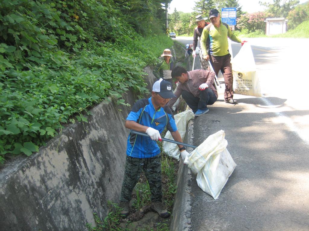 쌍책면 청년회“행복홀씨 입양사업”환경정화운동 실시 