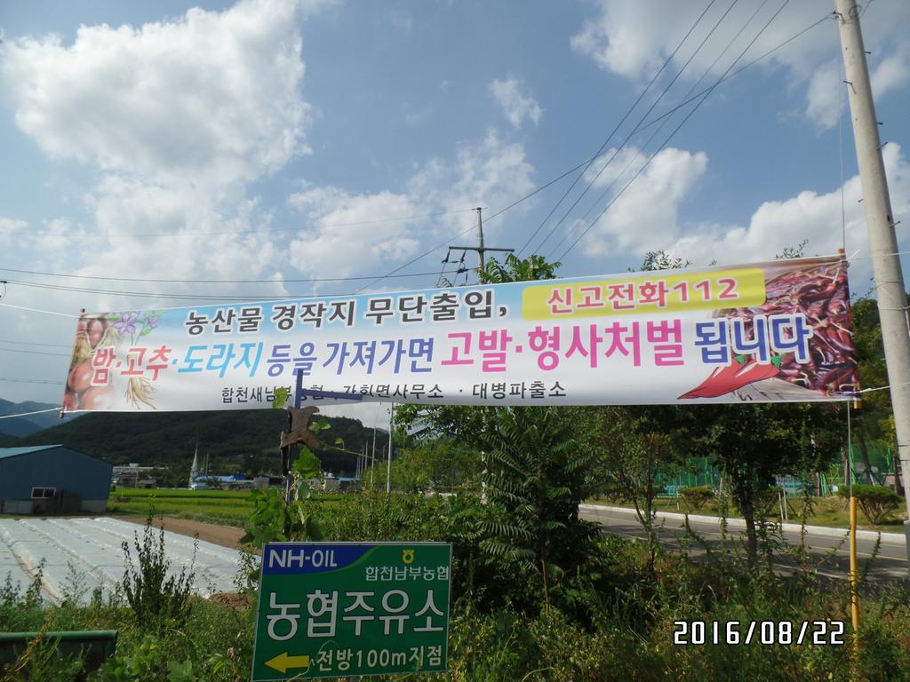 가회면, 유관기관 합동 농산물절도행위 예방 홍보 