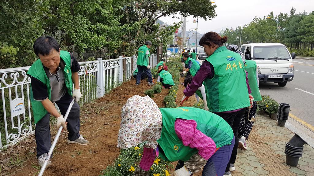 새마을운동합천군지회, 한가위와 군민의 날 맞아 꽃단장 마쳐