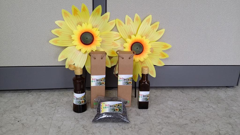 합천, 쌍책면 ‘천연 친환경 해바라기 씨유’선 보여 