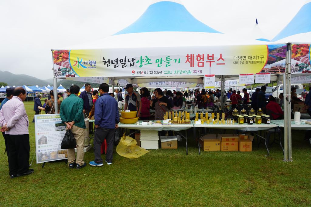 제6회 합천군 그린 희망마을 축제 개최