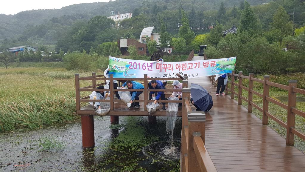 합천군, 정양늪에 미꾸리 어린고기 방류