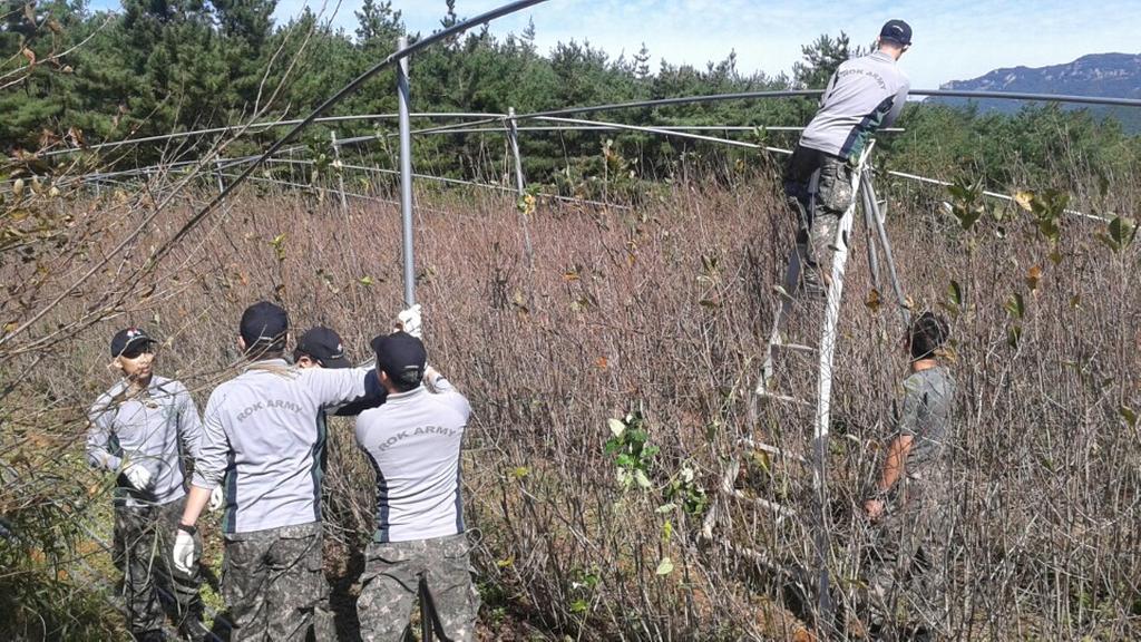 합천군 율곡면 제5870부대 4대대, 태풍 피해 농가 돕다!