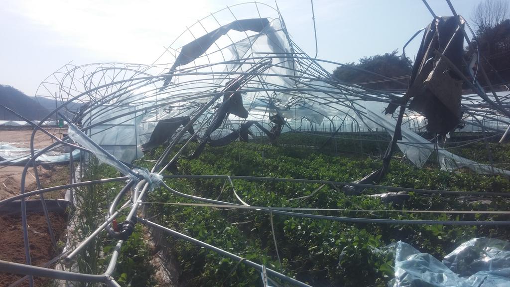 합천군, 농업재해보험 가입 적극 권장