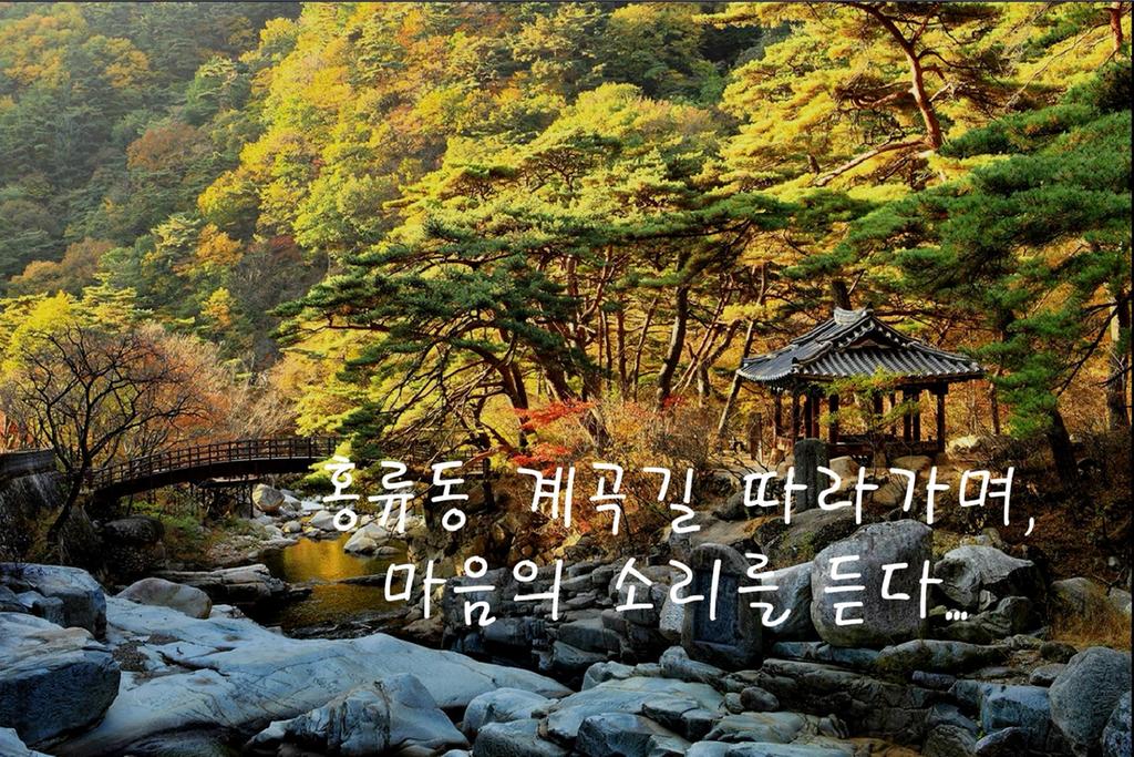 「水려한 합천을 노래하다」홍보 UCC 공모전, 16편 당선