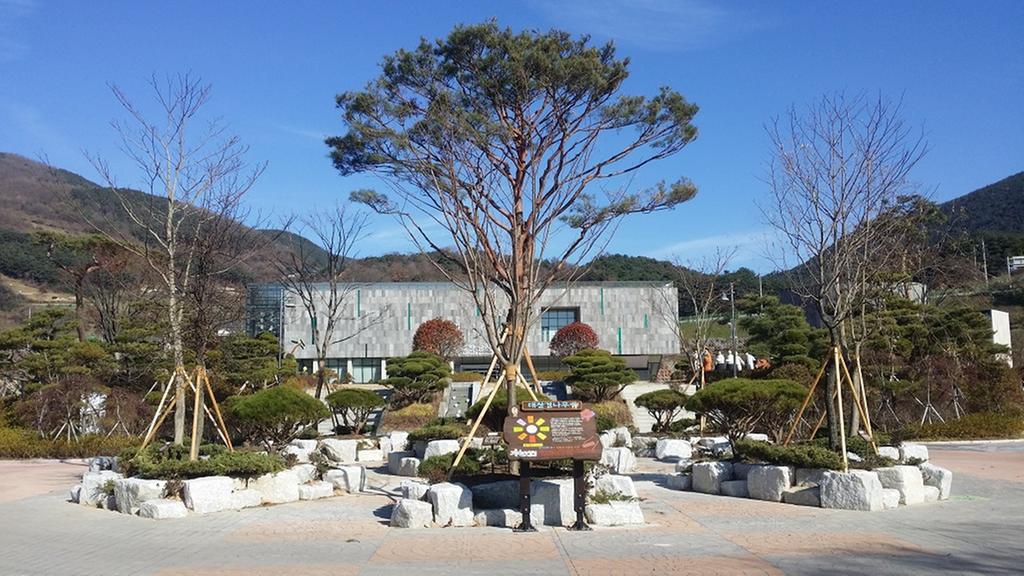 합천 대장경테마파크에는 팔괘 모양 대장경나무가 있다!