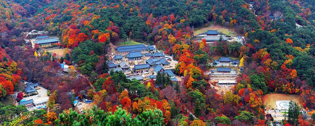 합천군‘해인사’, ‘한국관광 100선’3회 연속 선정