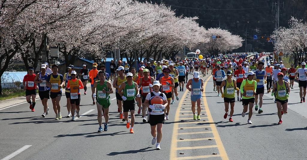 합천군, 제16회 합천벚꽃마라톤대회 개최 