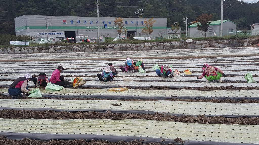 농촌인력은행, 2년차 사업 운영 힘찬 시동