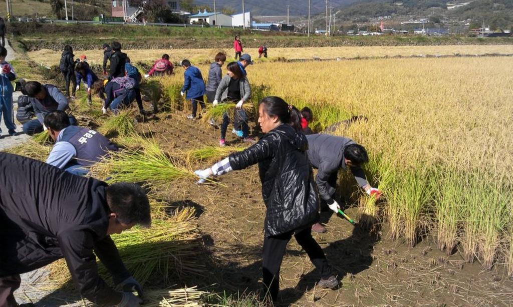 합천군, 친환경농업 직불금 신청
