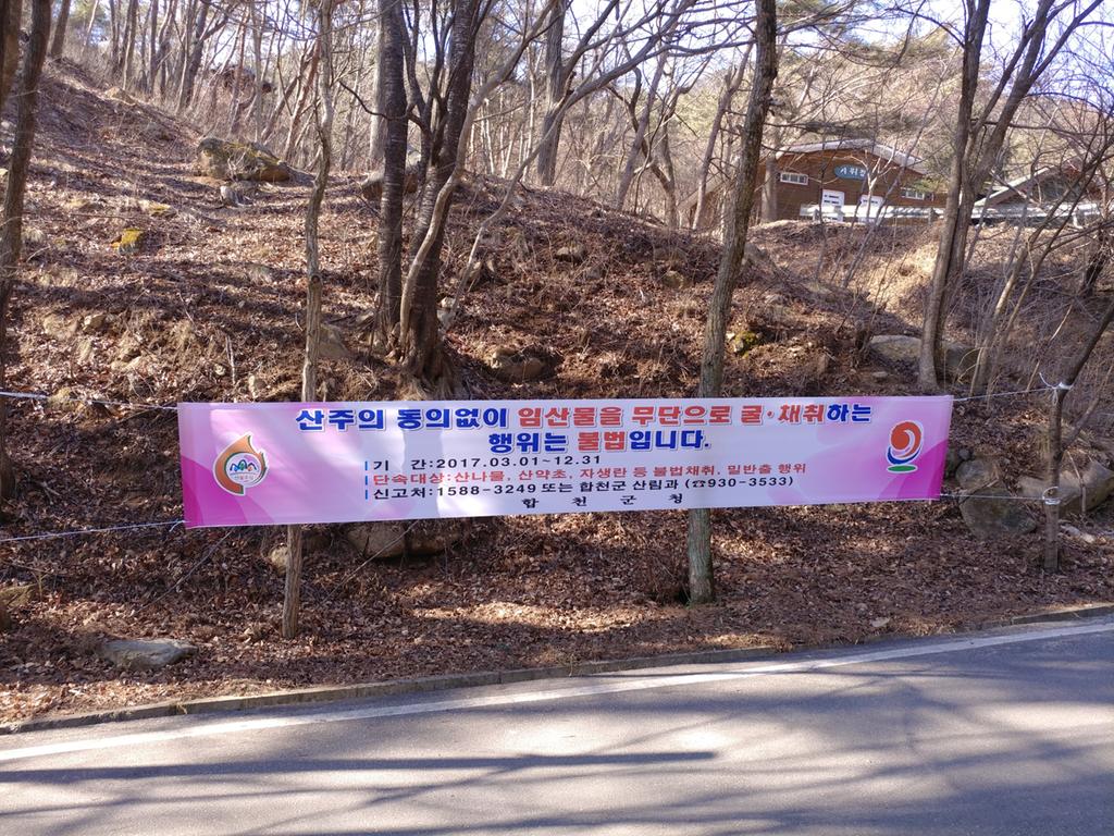 합천군 봄철 산림 내 불법행위 특별단속 실시