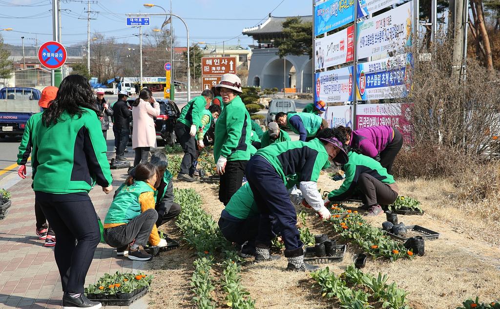 새마을운동합천군지회, 봄맞이 꽃 식재