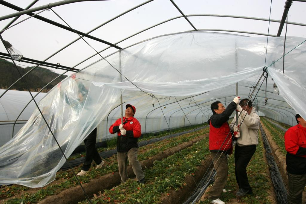합천군, 농작물 재해보험료 80% 지원