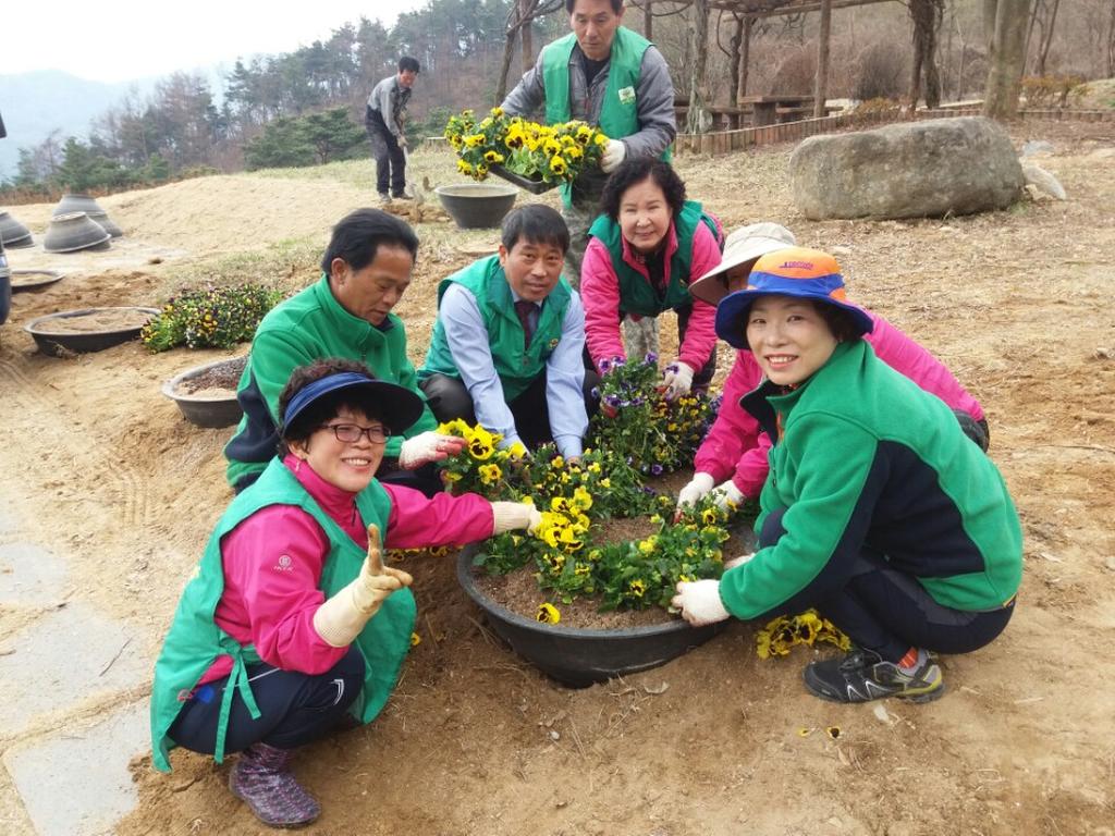 가야면 행복홀씨 입양사업 봄꽃식재