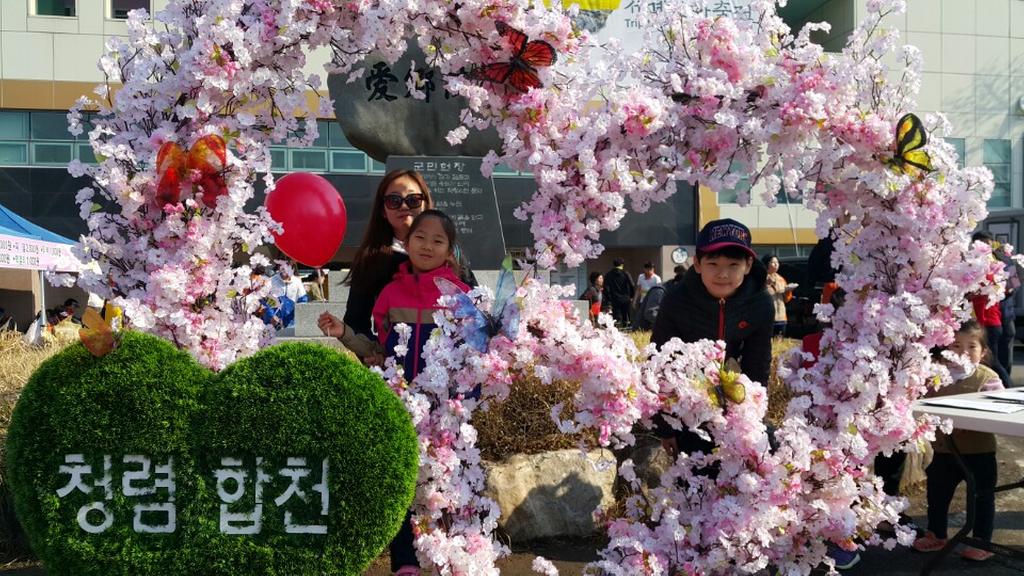 합천벚꽃마라톤 대회서 청렴 벚꽃 활짝 펴!