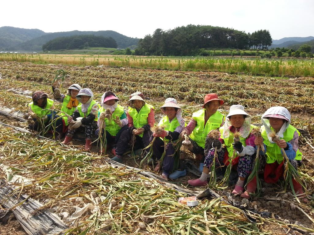 합천군 농촌인력은행, 정부 3.0 협업 우수기관 선정