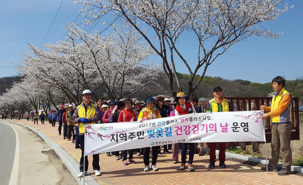 삼가면 지역주민 벚꽃길 건강걷기 개최