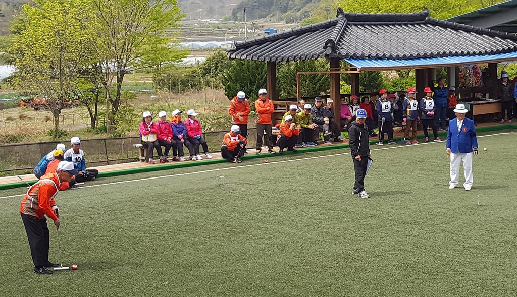 합천군 남부지역 친선 게이트볼대회 대병에서 열려 