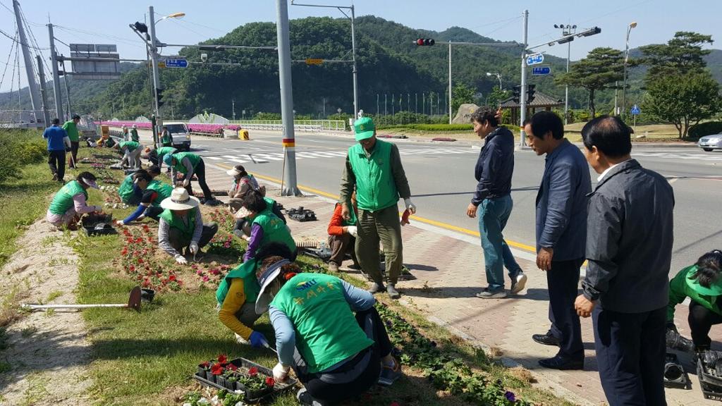 새마을운동합천군지회, 페츄니아 14,000본 심어