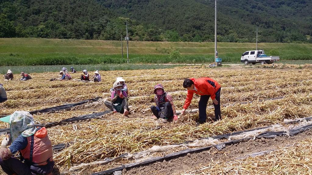 덕곡면, 바쁜 농사철 영농현장에서 주민과 소통 