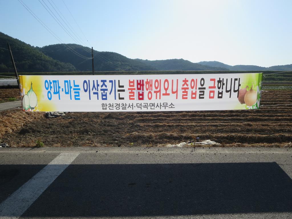 덕곡면 양파․마늘 이삭줍기 범죄예방으로 농심(農心) 보호