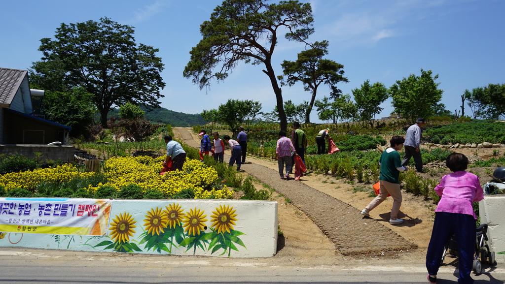 쌍책면 내촌마을 쓰리GO! “깨끗하고! 즐겁고! 행복하고!”