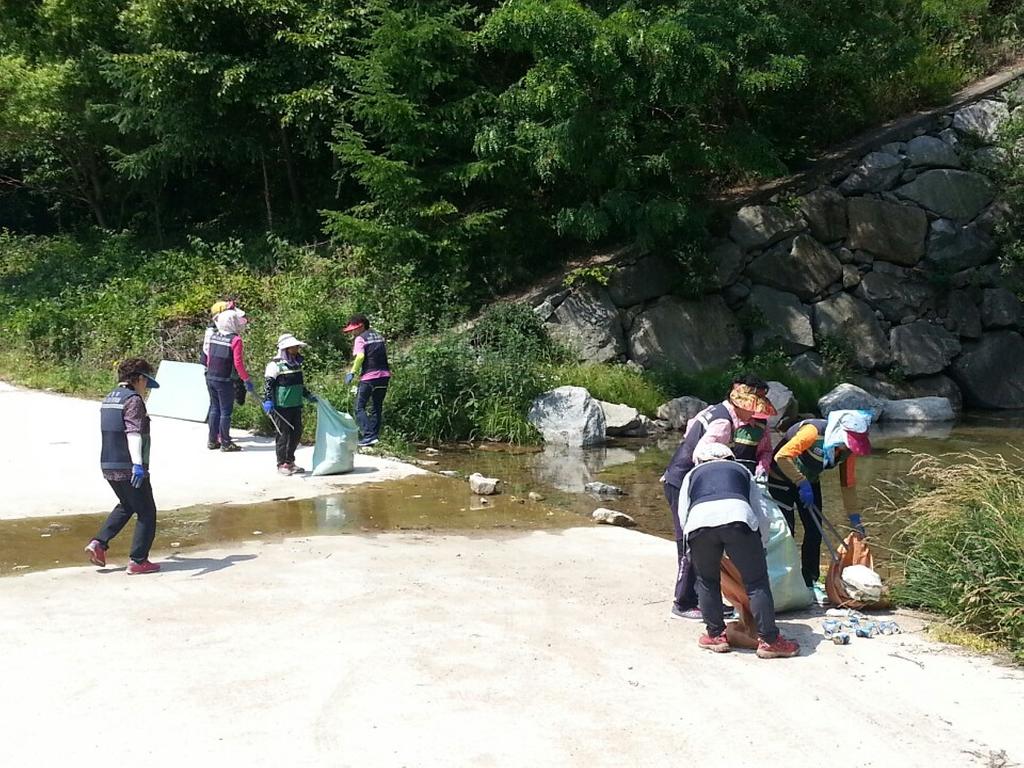 대병면 주부민방위기동대, 여름맞이 환경정화 활동