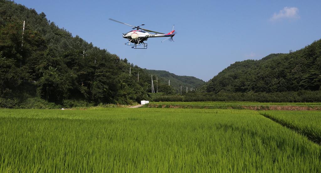 합천군, 무인헬기 이용 벼 병해충 항공 방제 