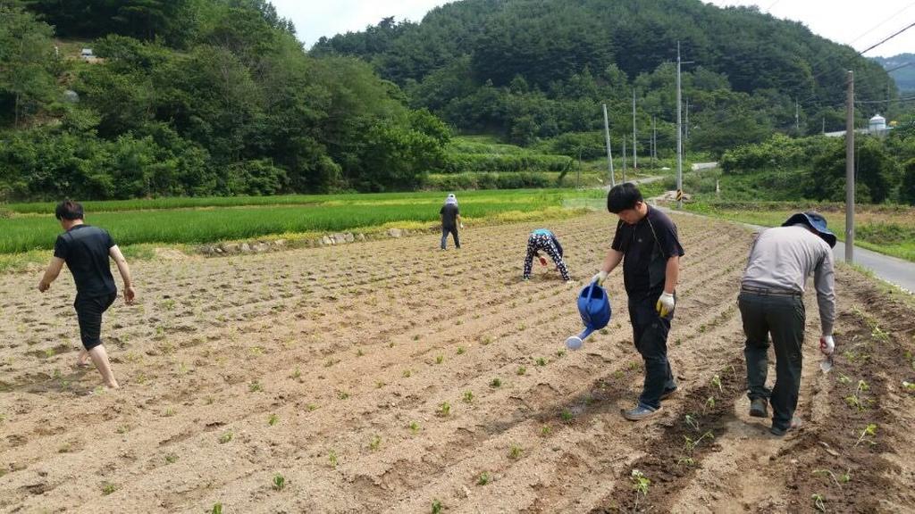 합천군4-H연합회, “공동학습포 운영”을 통해‘미래농업 CEO’가 될래요.